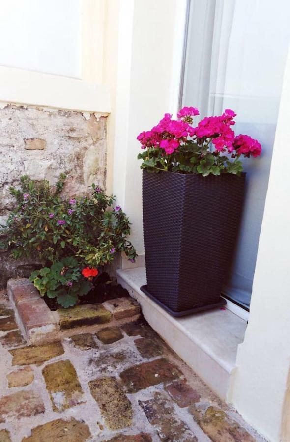Anemomilos Jacuzzi Suite Corfu  المظهر الخارجي الصورة